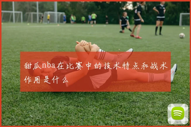 甜瓜nba在比赛中的技术特点和战术作用是什么