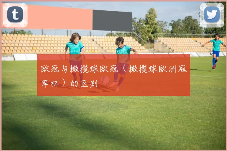 欧冠与橄榄球欧冠(橄榄球欧洲冠军杯)的区别